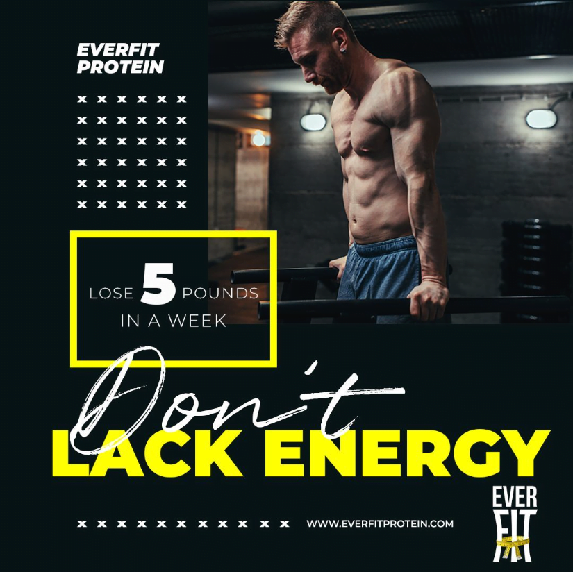 everfit protein