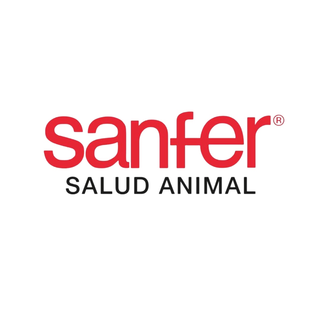 sanfer